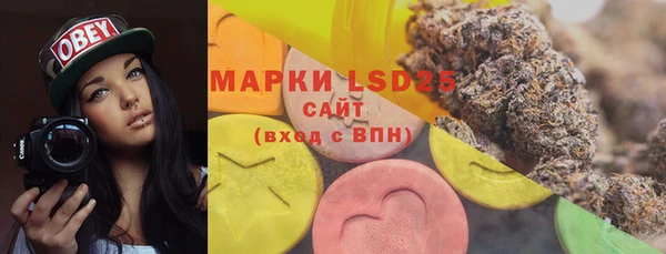 прущие грибы Алексин
