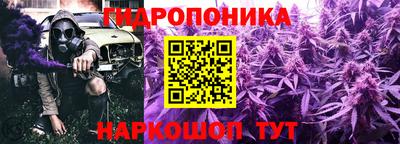 соль ск Дубна