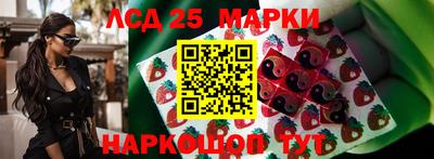 стаф Донской