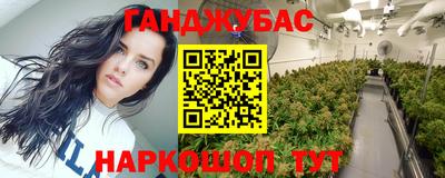 стаф Донской