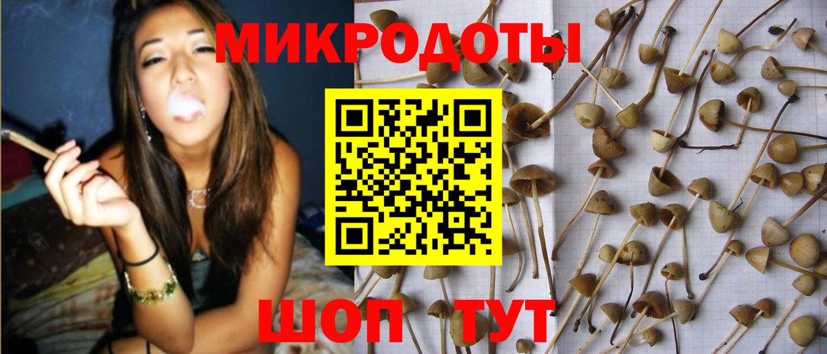 Майский  Галлюциногенные грибы прущие грибы  Вход с VPN 